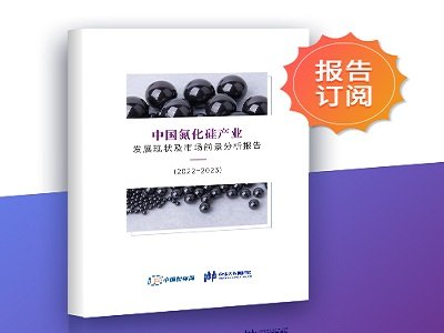 ȫ˽CõմЇa(chn)I(y)l(f)չF(xin)Јǰ棨2022~2023rt