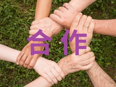 290f(wn)hW(xu)_(ki)И(bio)๦X侀x