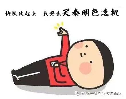 泰明色選機