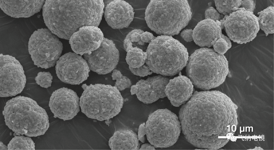  由 Phenom ParticleMetric 軟件測量的多晶 NCM 顆粒，顯示分布著大量的二次顆粒