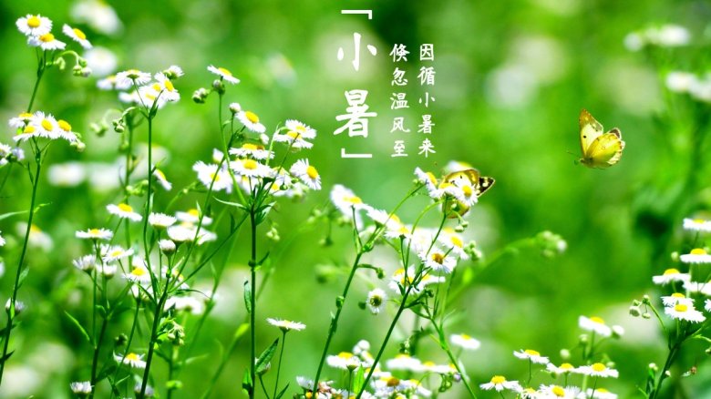 倏忽溫風(fēng)至，因循小暑來(lái)-二十四節(jié)氣 小暑.jpg